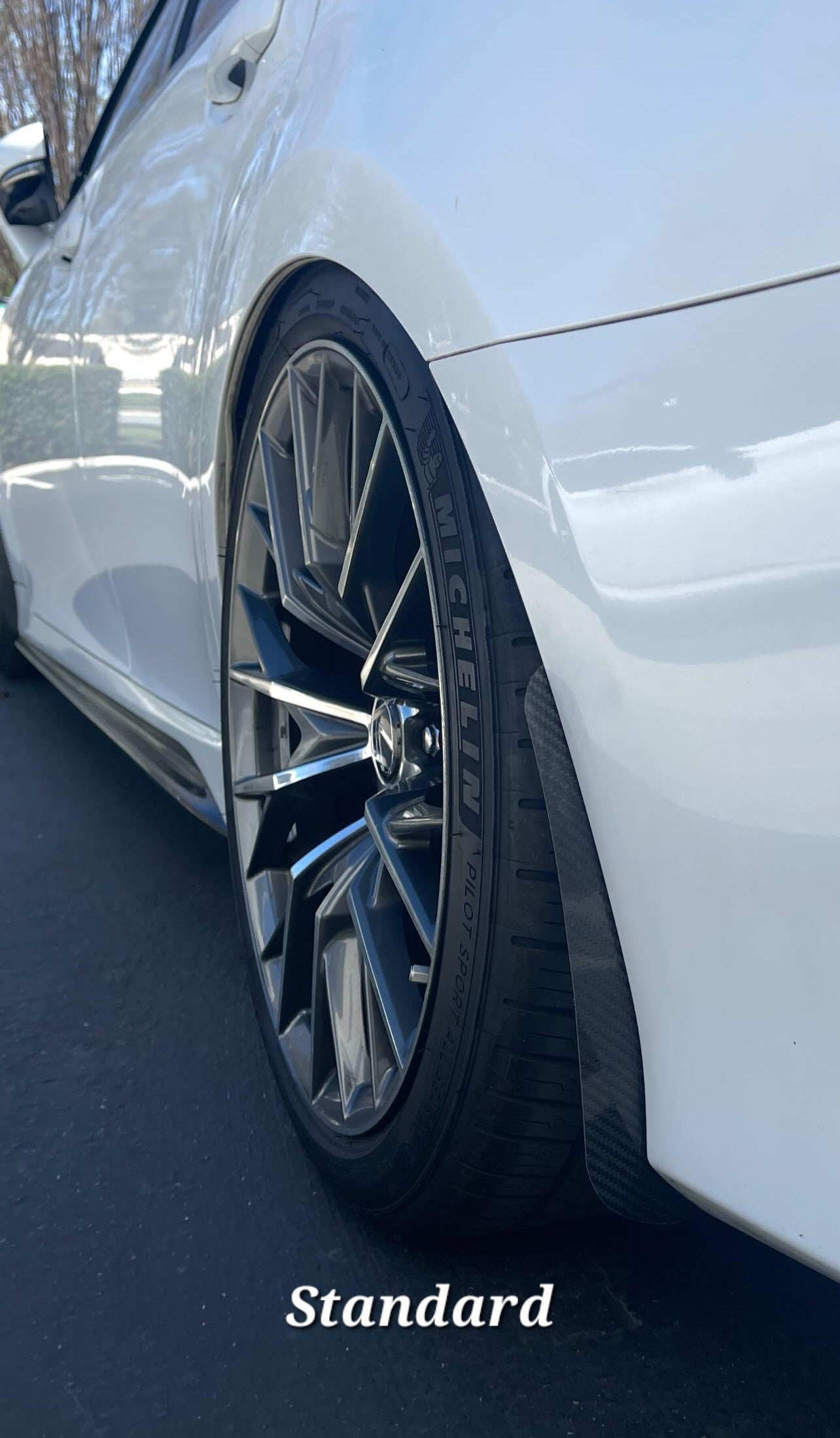 2016-2020 Lexus GSF Carbon Fiber Mudguards